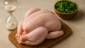 Sonhar com frango cru inteiro: preparo, paciência e saúde