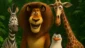 Madagascar: Animais do zoológico na selva da DreamWorks