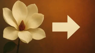 Magnólia: Resumo Completo do Filme, Sem Spoilers, Bem Direto