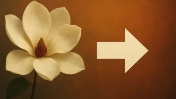 Magnólia: Resumo Completo do Filme, Sem Spoilers, Bem Direto