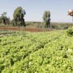 IPP sobe 2,37% em março, informa IBGE