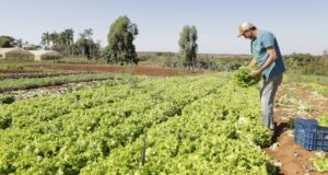 IPP sobe 2,37% em março, informa IBGE