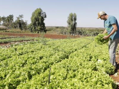 IPP sobe 2,37% em março, informa IBGE