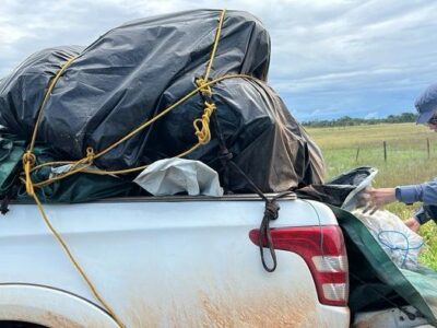Presos com grude de peixe de R$ 1 mi no Amapá