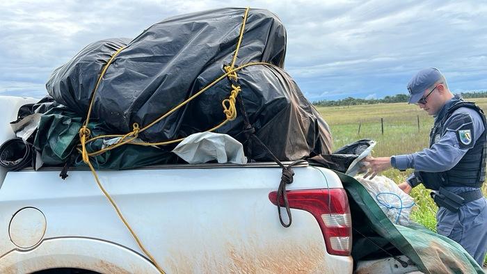 Presos com grude de peixe de R$ 1 mi no Amapá