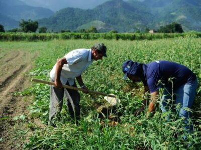 CAE aprova projeto que renegocia dívidas rurais com fundo do pré-sal