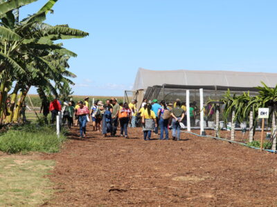 Emater-DF leva circuito de fruticultura à AgroBrasília 2026