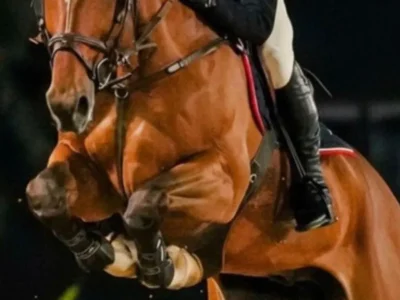 Candangão 2026 reúne elite do hipismo em Brasília