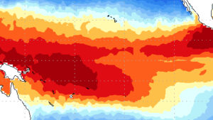 OMM: El Niño moderado a forte até agosto