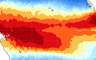 OMM: El Niño moderado a forte até agosto