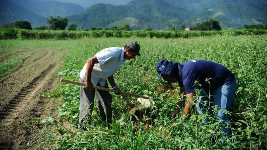 DF orienta regularização de área rural no Distrito Federal