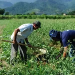 DF orienta regularização de área rural no Distrito Federal