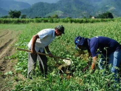 DF orienta regularização de área rural no Distrito Federal