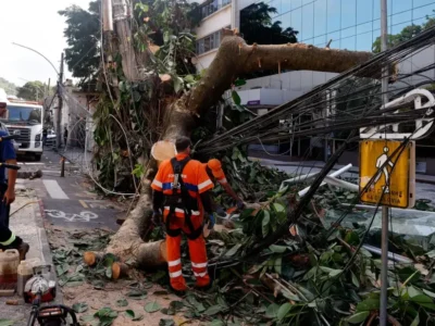 Especialistas defendem rede elétrica mais resiliente após temporal no Rio